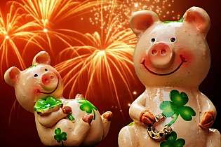 Zwei Glücksschweine geniessen das Neujahrs-Feuerwerk