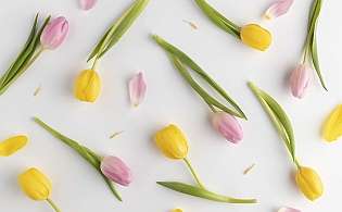 Anlässse voller Kunst &amp; Kulinarik